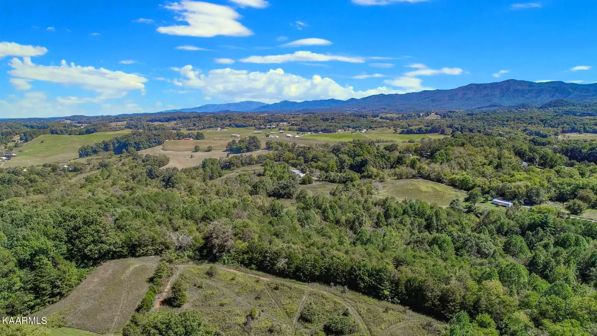 Parrottsville, TN 37843,11.7 Ac Gorden Rd