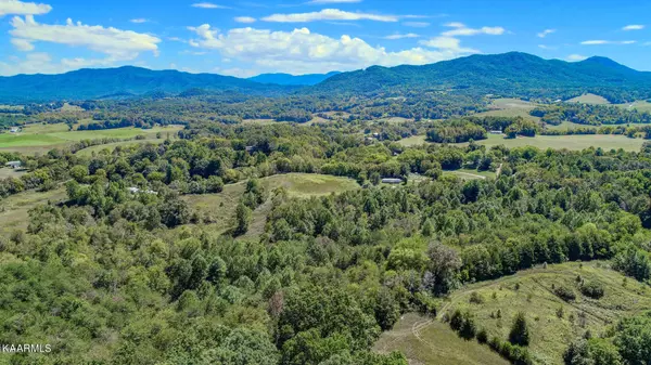 Parrottsville, TN 37843,11.7 Ac Gorden Rd