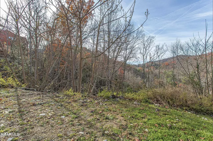 Lot 42 Smoky Ridge Way, Sevierville, TN 37862