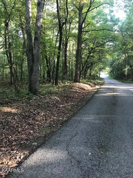 Lot 8 Mountain View Road, Benton, TN 37307