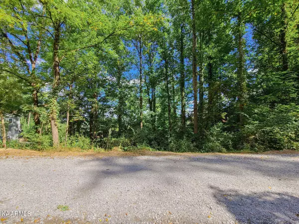 Lot 14 Lonesome Pine WAY, Sevierville, TN 37862