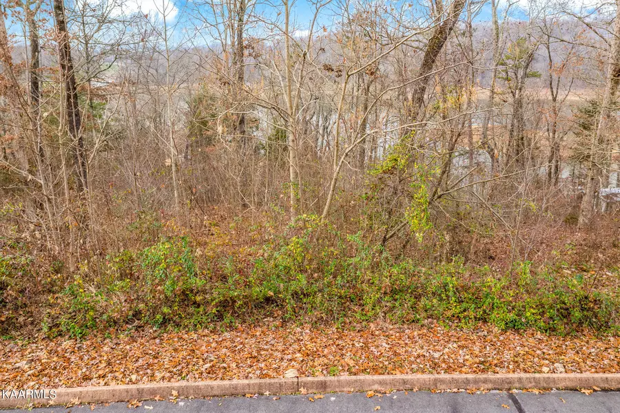 Lot 25 Aidans Tr, Rutledge, TN 37861