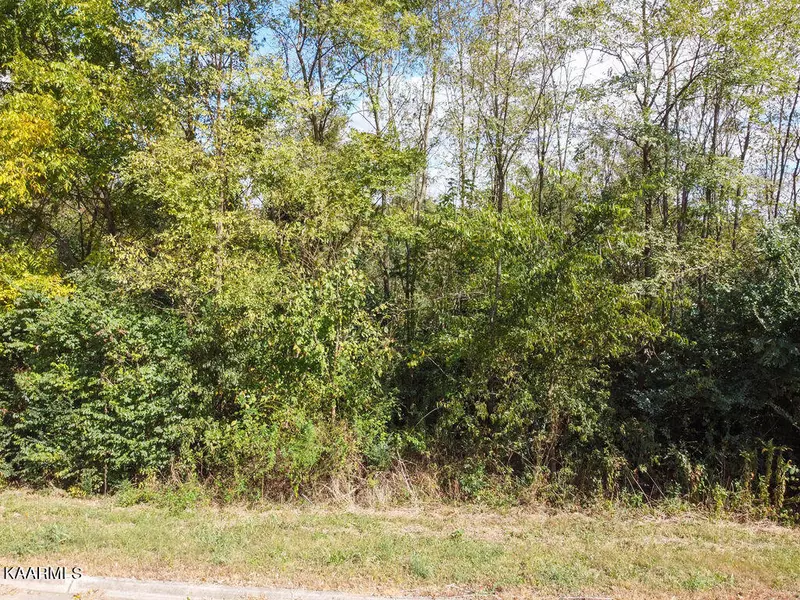 Ambernic Way, Sweetwater, TN 37874