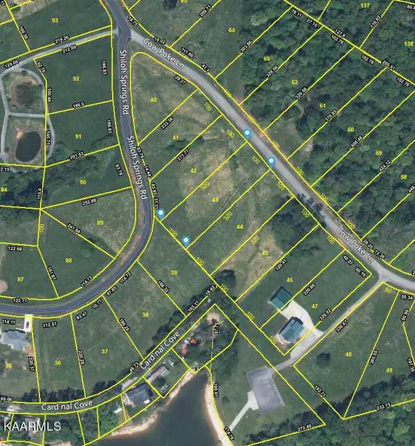 Rutledge, TN 37861,Lot 43 Cow Poke LN