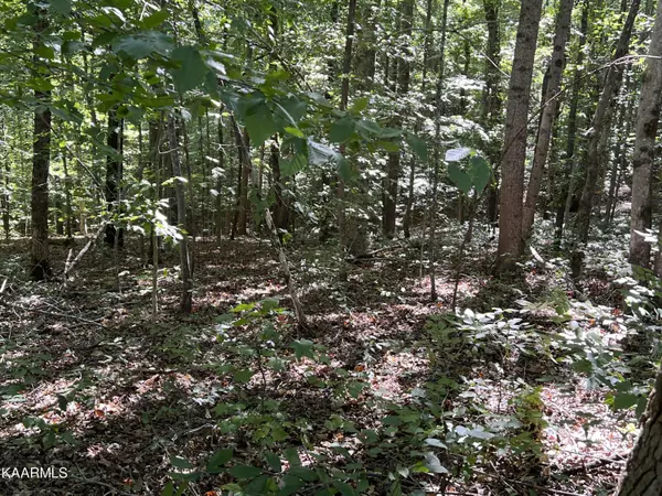 Monroe, TN 38573,4 acres Cope Cemetery Rd