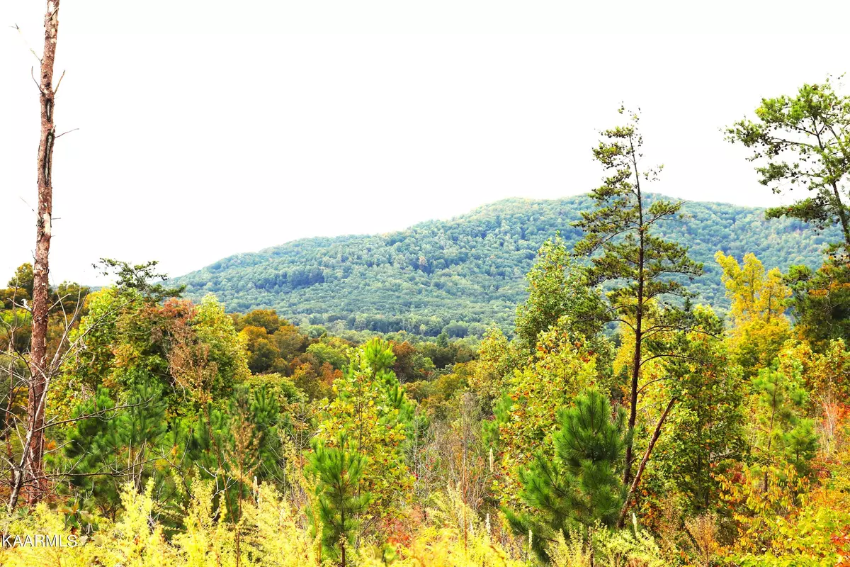 Tellico Plains, TN 37385,776 Shaddon Rd