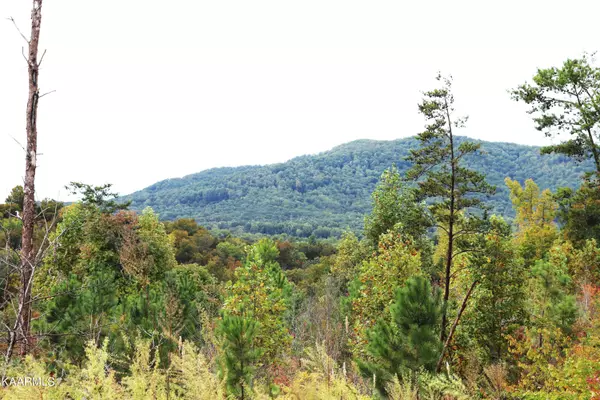 Tellico Plains, TN 37385,770 Shaddon Rd