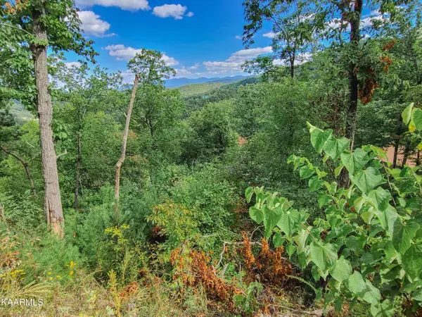 Sevierville, TN 37862,Lot 18 Lonesome Pine WAY