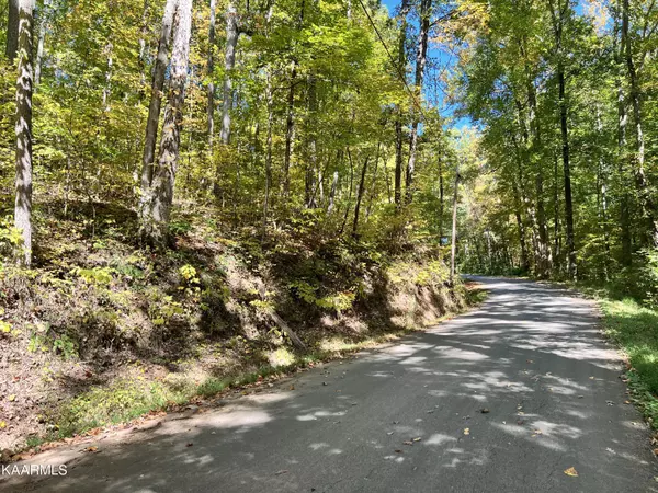 Mohawk, TN 37810,1870 Dyer Hollow Rd