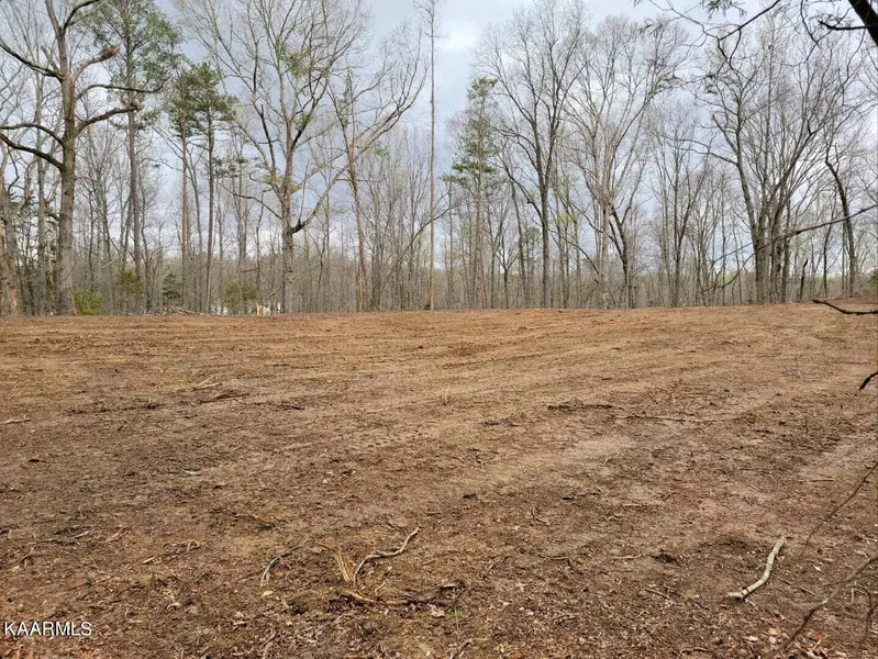 Lot 186 Scenic Lakeview Drive, Spring City, TN 37381