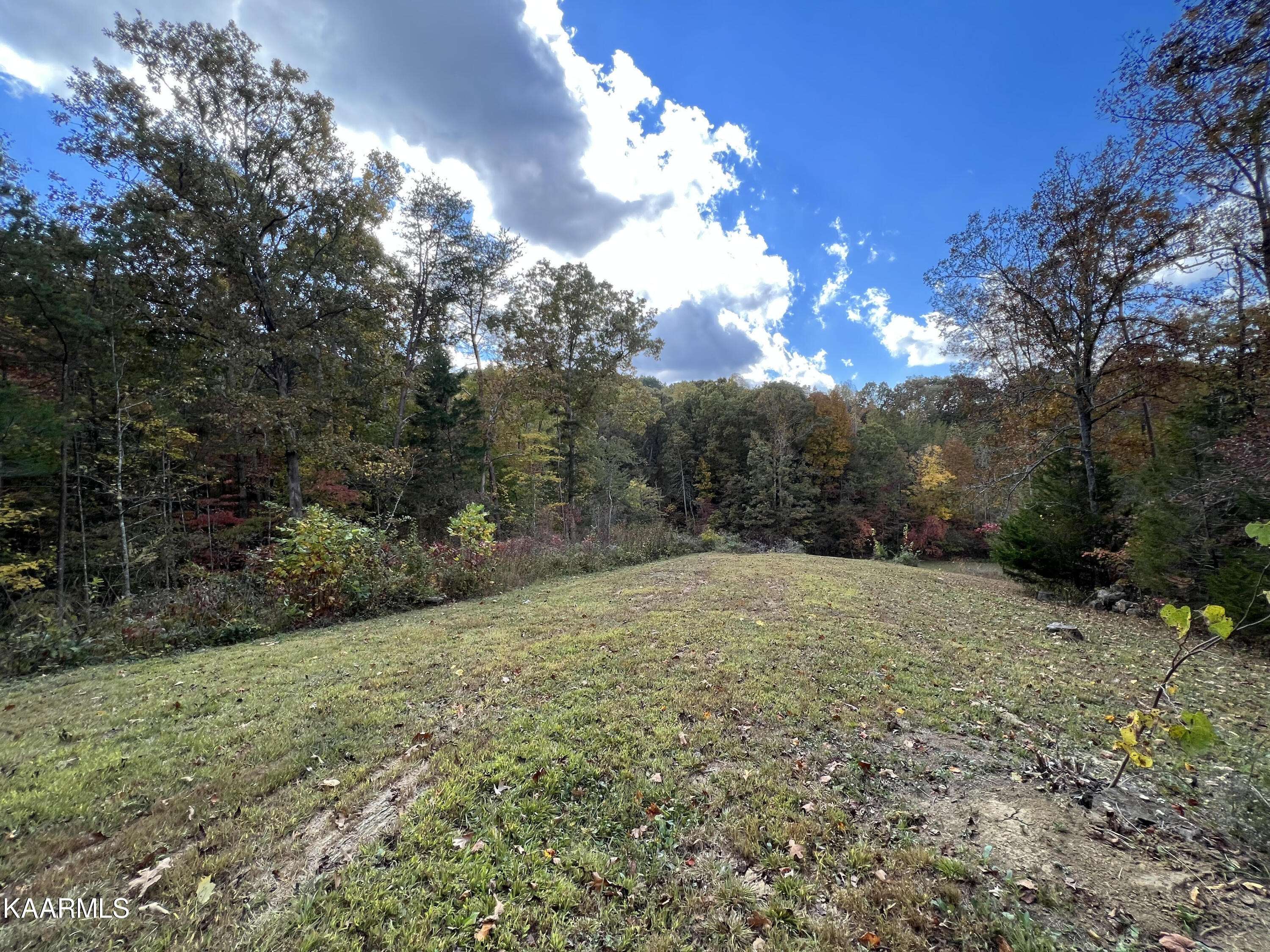 Tellico Plains, TN 37385,1476 Reagan Valley Rd