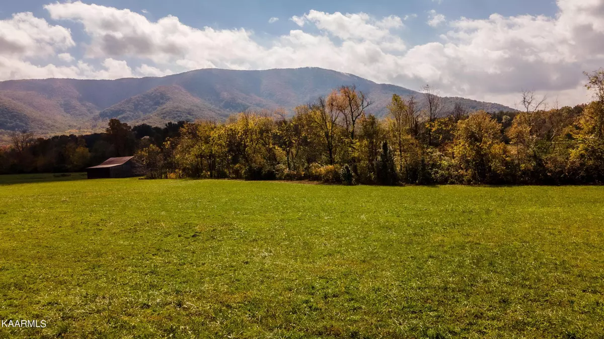 Sevierville, TN 37862,6 Acres Ownby Rd