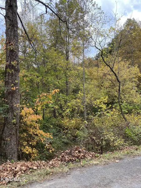 Comb Ridge Rd, Maynardville, TN 37807