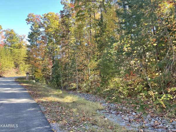 Lot 34W Long Rifle Rd, Walland, TN 37886