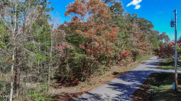 Newport, TN 37821,Lot 3 Fancher Rd