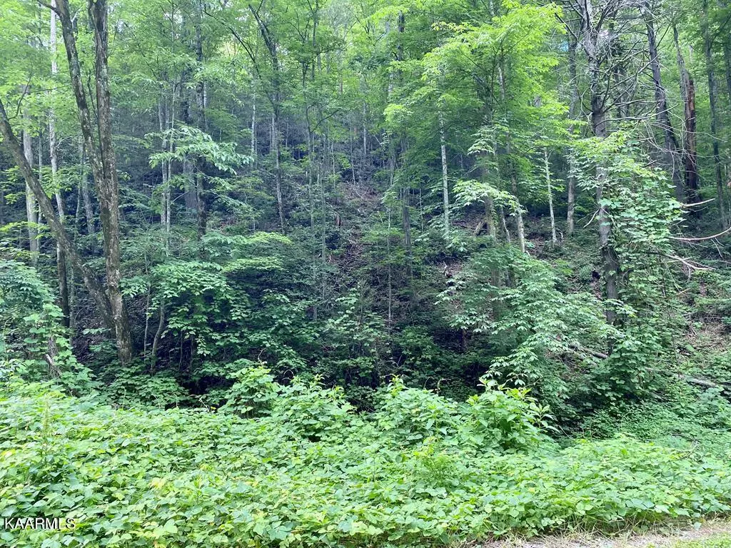 Sevierville, TN 37862,Lot 5 High Top LOOP