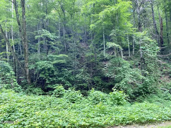 Lot 5 High Top LOOP, Sevierville, TN 37862