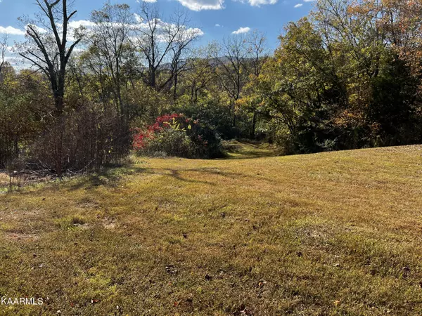 Tellico Plains, TN 37385,1805 Mecca PIKE