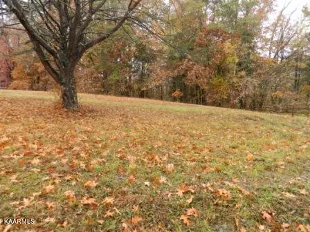 Blaine, TN 37709,McKinney Rd      1.9 acre Lot