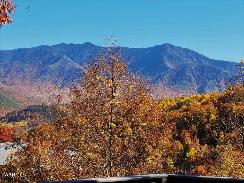 Gatlinburg, TN 37738,809 Crystal Branch WAY
