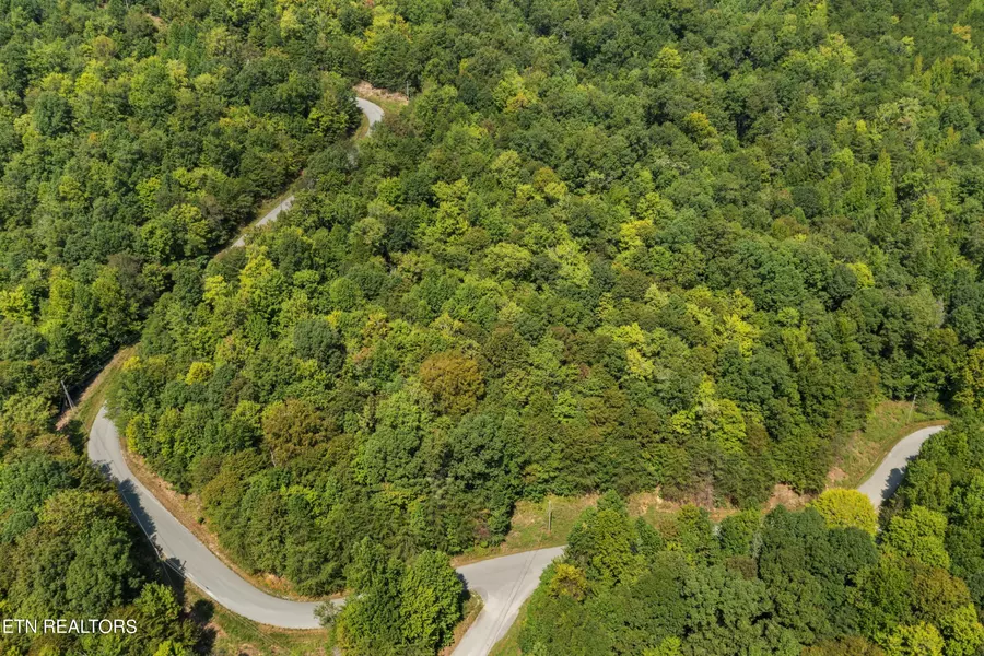 Lot 143 Whistle Valley Rd, New Tazewell, TN 37825