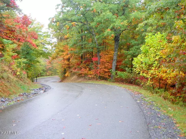 Sevierville, TN 37863,Lot 19 Laurel Top Way