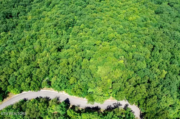 Sevierville, TN 37863,Lot 19 Laurel Top Way