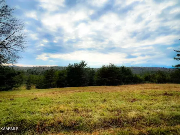 Deer Lodge, TN 37726,Lot 2A Hwy 62