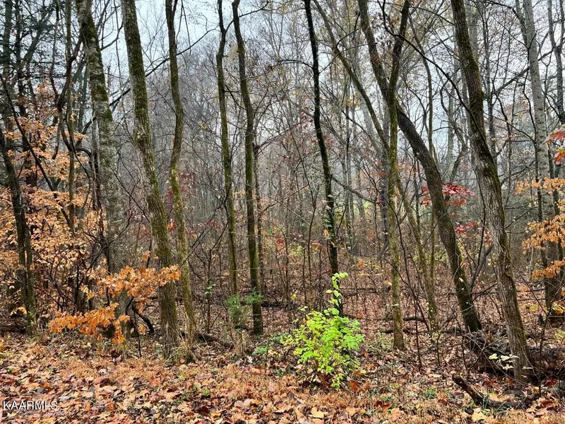 Lot 3 Butler Rd, Decatur, TN 37322