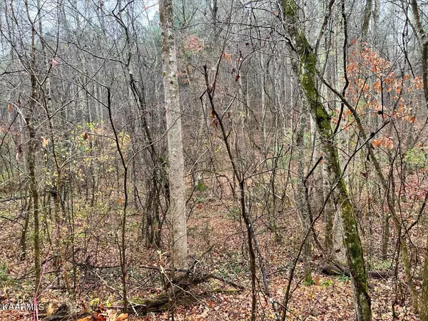 Decatur, TN 37322,Lot 7 Butler Rd