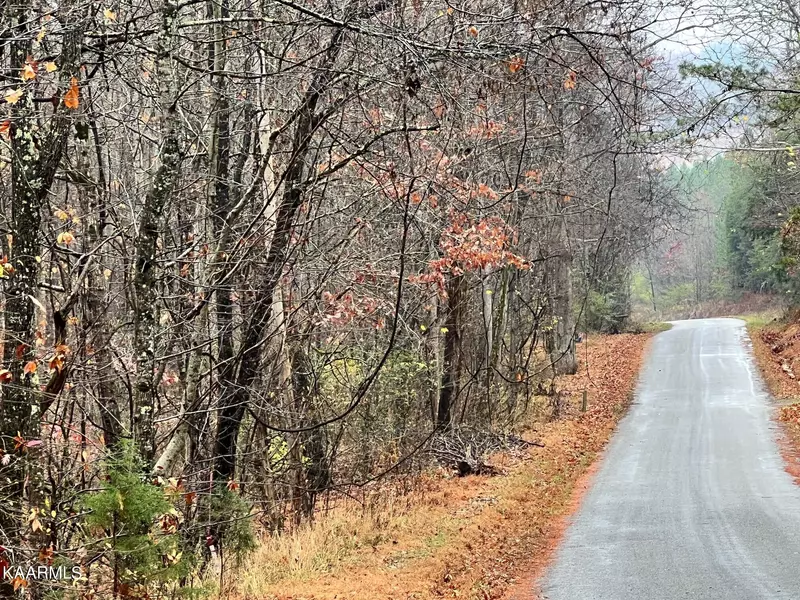 Lot 9N Rayl Hollow, Decatur, TN 37322