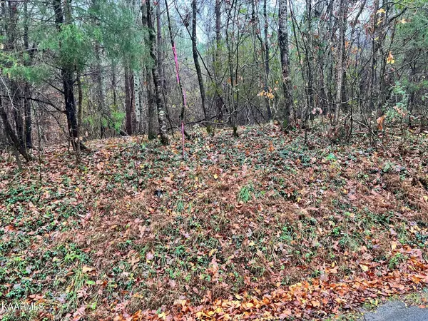 Lot 6R Rayl Hollow, Decatur, TN 37322