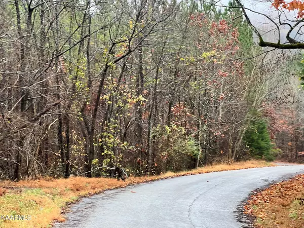 Lot 7 Hampton Lane,  Decatur,  TN 37322