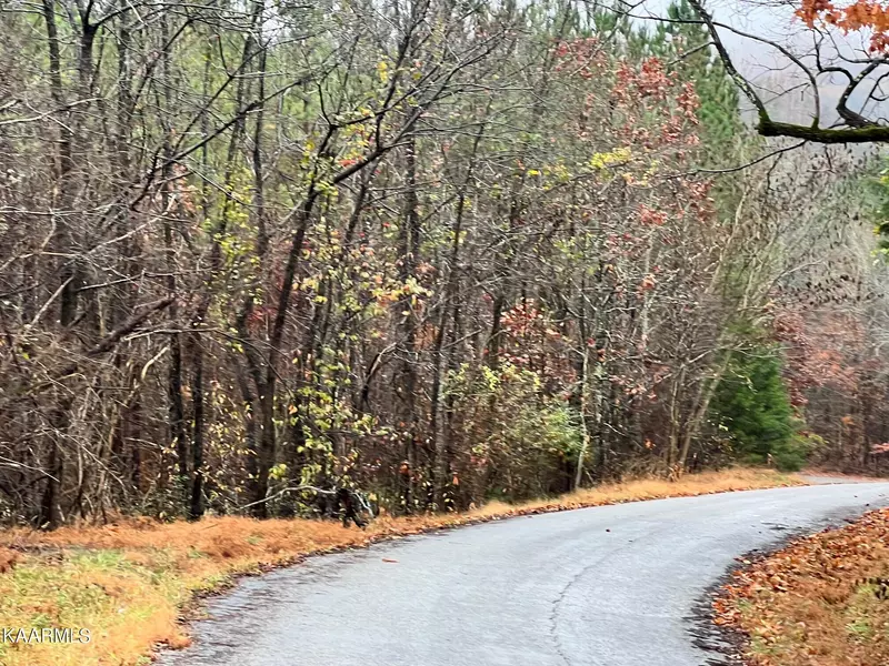 Lot 9 Hampton Lane, Decatur, TN 37322