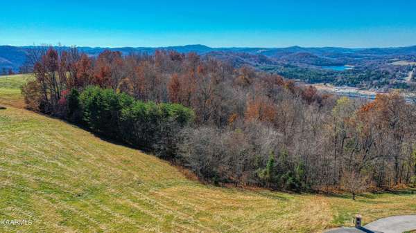 Alabaster CT,  New Tazewell,  TN 37825