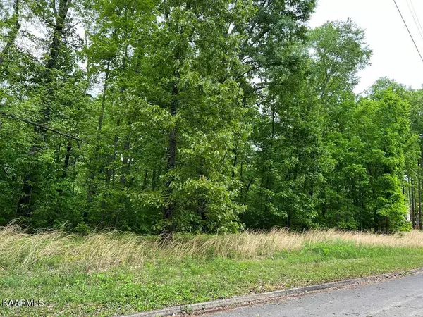 Lot 26 Tom Patterson, Dandridge, TN 37725