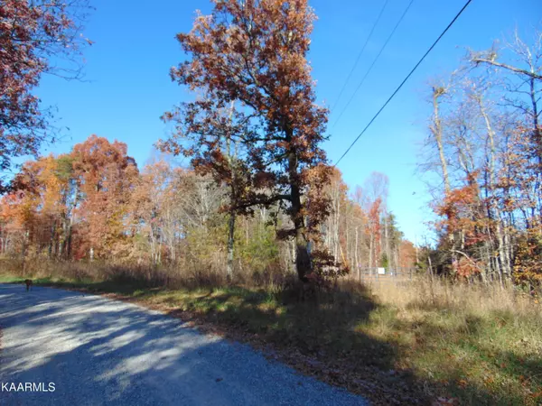 Spring City, TN 37381,14.41 acre Raccoon Ridge Road