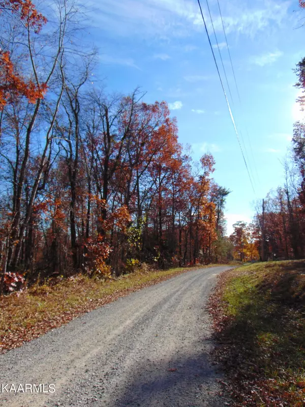 14.41 acre Raccoon Ridge Road, Spring City, TN 37381