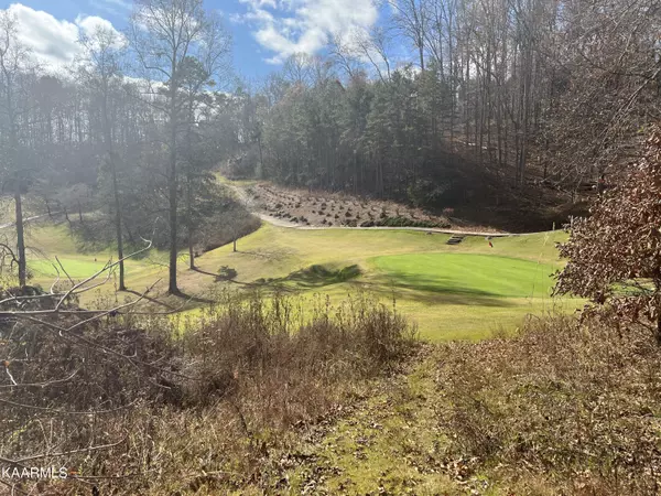 Lafollette, TN 37766,Lot B Bobby Clampett WAY