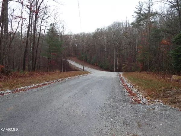 Lancing, TN 37770,Lot 54 Emory Heights Rd