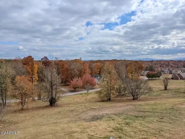 Baneberry, TN 37890,454 Lake Vista DR