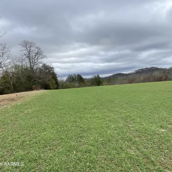 Madisonville, TN 37354,Lot 3 Ballplay Rd