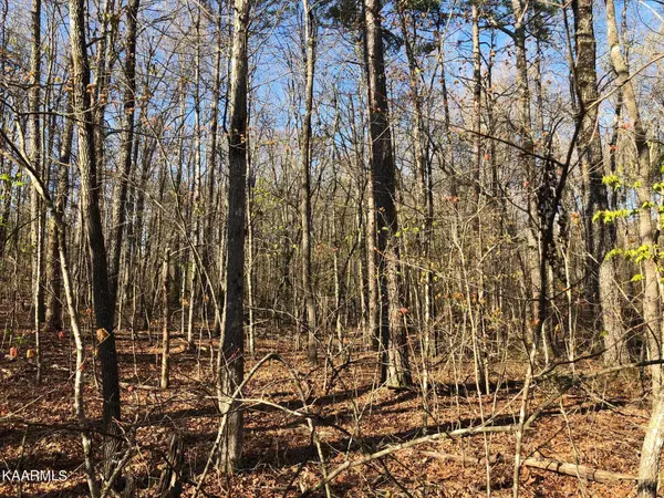 Monterey, TN 38574,Lot 1 Arrowhead Rd