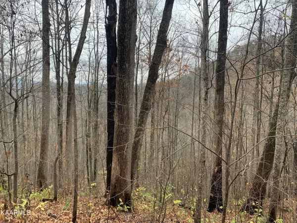 Sevierville, TN 37862,Lot 13 Emerald Springs LOOP