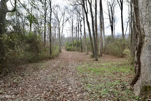 Sweetwater, TN 37874,481 Randolph Fridley Rd