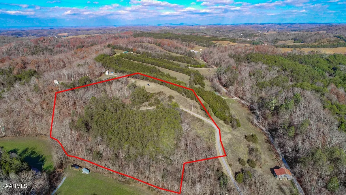 Parrottsville, TN 37843,10.96 Ac Aldro WAY