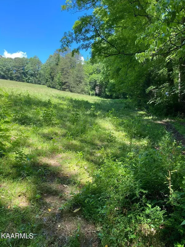 Lafollette, TN 37766,Tbd Chapman Rd