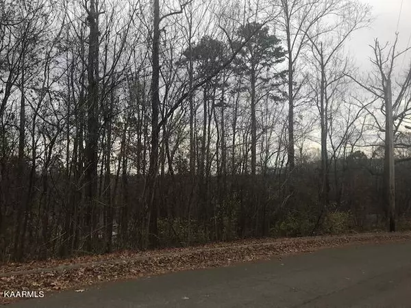 Seymour, TN 37865,Hinkle Estates DR