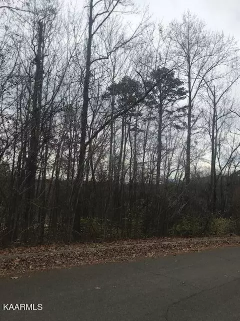 Seymour, TN 37865,Hinkle Estates DR