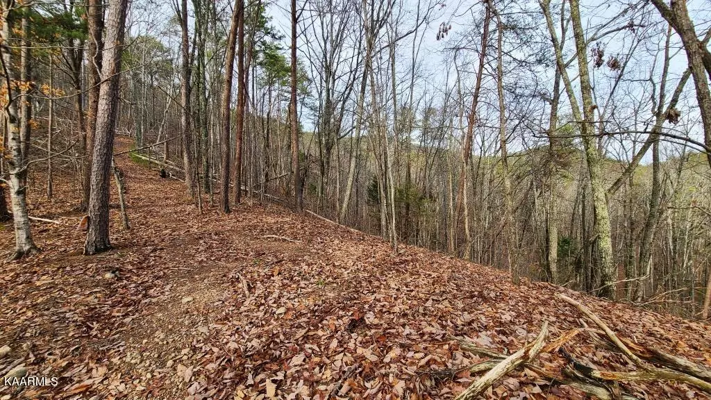 Lot 103 Cherokee CIR, Tallassee, TN 37878